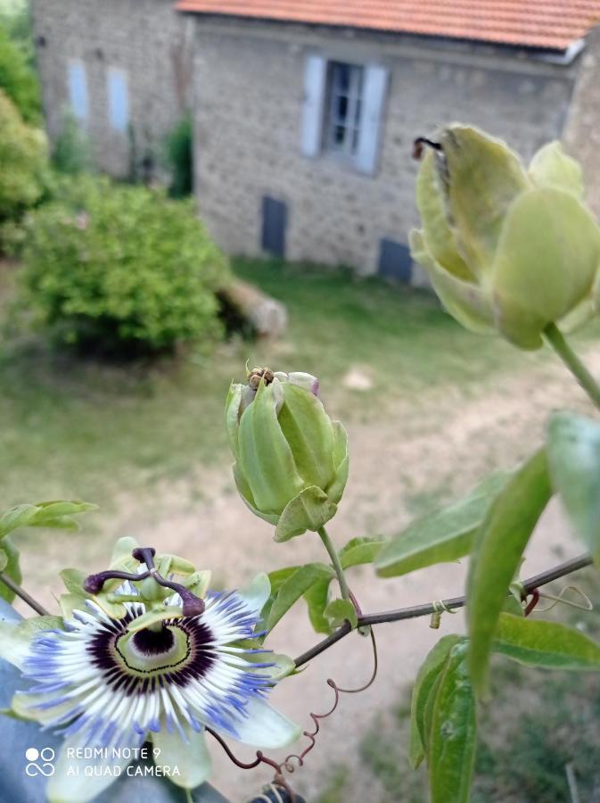 Hébergement de vacances Ferme De Fenivou *