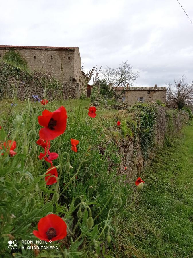 Ferme De Fenivou * Boulieu-les-Annonay