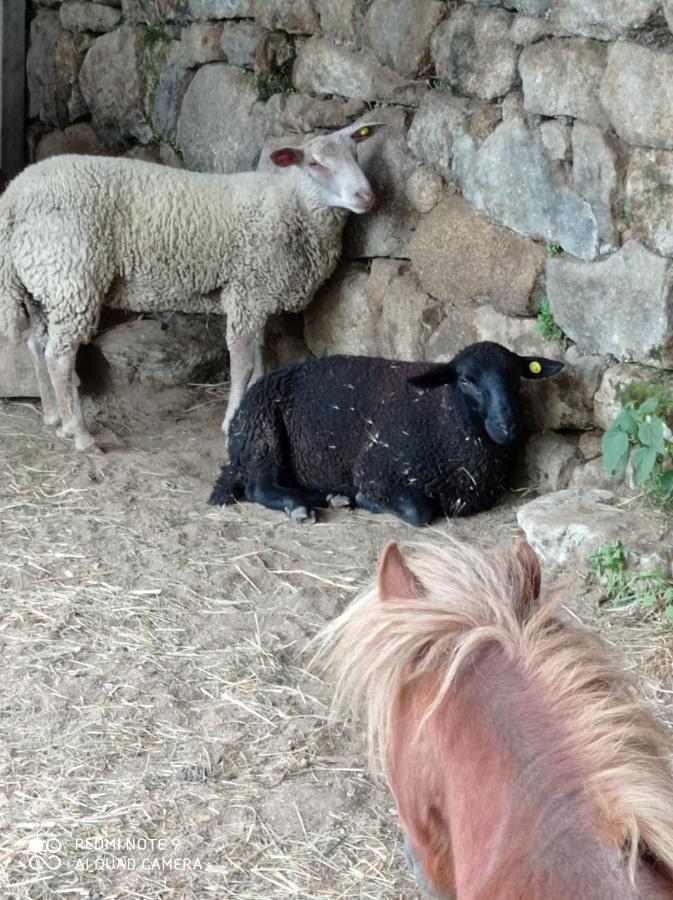 Hébergement de vacances Ferme De Fenivou *